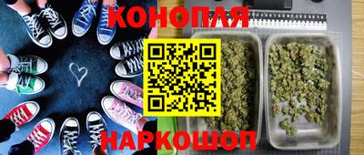 прущие грибы Кингисепп