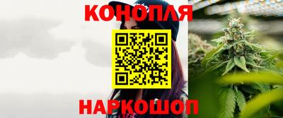 индика Кинель