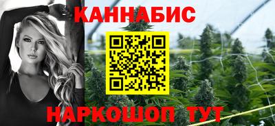 прущие грибы Кингисепп