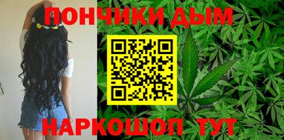 индика Кинель