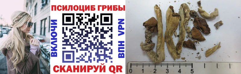 наркота  Нефтеюганск  Псилоцибиновые грибы Magic Shrooms 