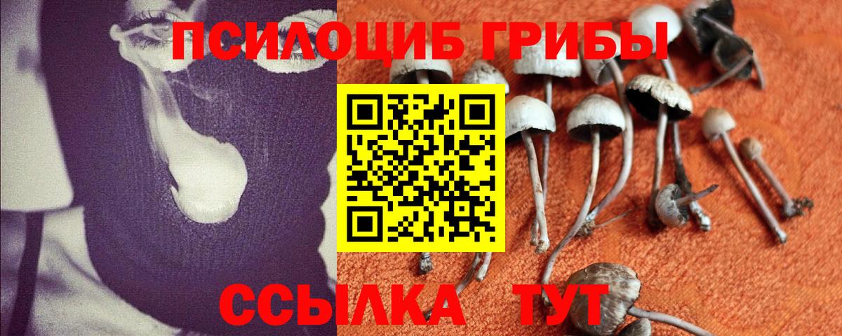 Псилоцибиновые грибы Psilocybine cubensis  Вход с VPN  Нефтеюганск 